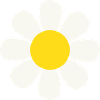 Gänseblümchen Blume Daisy Flower