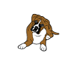 Boxer Dog Gifts