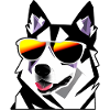Dog with sunglasses