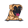 Boxer Dog Gifts
