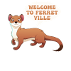 Ferret polecat cute