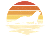 Mongooses Mongooses Meerkats