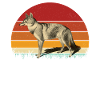 Jackal