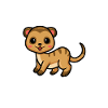 Mangoustes Mangoustes Suricates