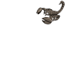 Skorpion