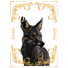 Jackal