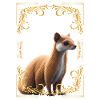 Mongooses Mongooses Meerkats