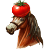 Pferdekopf Tomate
