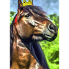 Pferd mit Krone