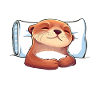 Otter Seeotter