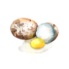 WACHTEL