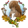 Eichhörnchen im Herbst