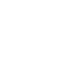 Airplane Coat of Arms