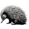 Echidna