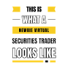 Newbie virtual securities trader