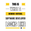 Newbie virtual software developer