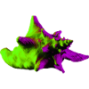 Pop Art Shell
