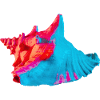 Pop Art Shell