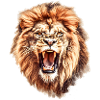 Lion Head