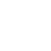 Cow skull -