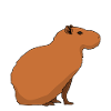 Capybara Happiness Capybaras