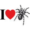 Adoro i ragni con cuore e silhouette di ragno