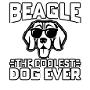 Beagle the coolest dog ever