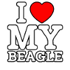 I love my Beagle