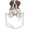 Saint-Bernard Chien Saint-Bernard