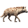 HYENA
