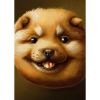 Kartoffel-Hund-Gesicht