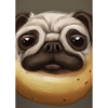 Kartoffel-Hund-Gesicht