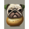 Kartoffel-Hund-Gesicht