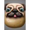 Kartoffel-Hund-Gesicht