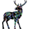 Hirsch