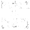 PUNK IS DAD