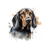 Black and Tan Coonhound