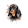 Black and Tan Coonhound