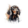 Black and Tan Coonhound