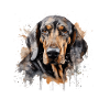 Black and Tan Coonhound