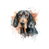 Coonhound noir et beige