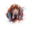Bloodhound