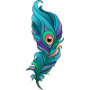 Plume de paon colorée