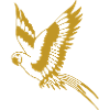 flying parrot in gold