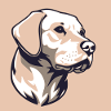 Labrador