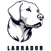 Labrador 3col