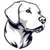 Labrador 3col oT