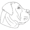 Boerboel