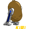 K1W1 spsh