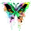 Owl Butterfly 1